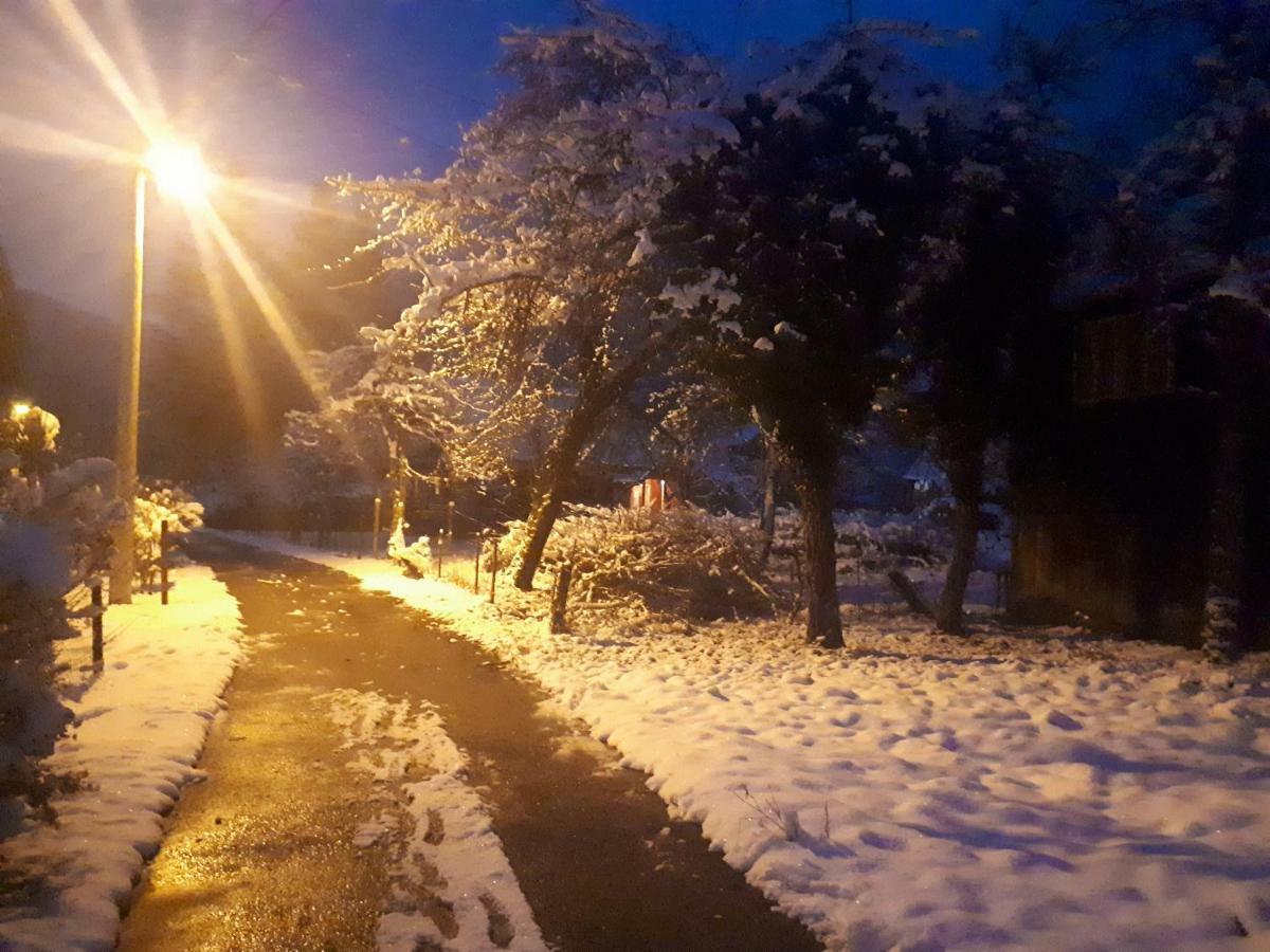 Petit Belosevic * Kuzelj